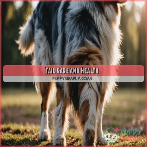 Tail Care and Health Tail Care and Health