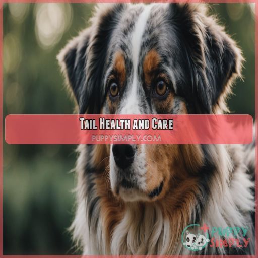 Tail Health and Care