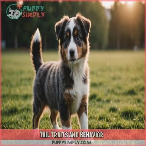 Tail Traits and Behavior