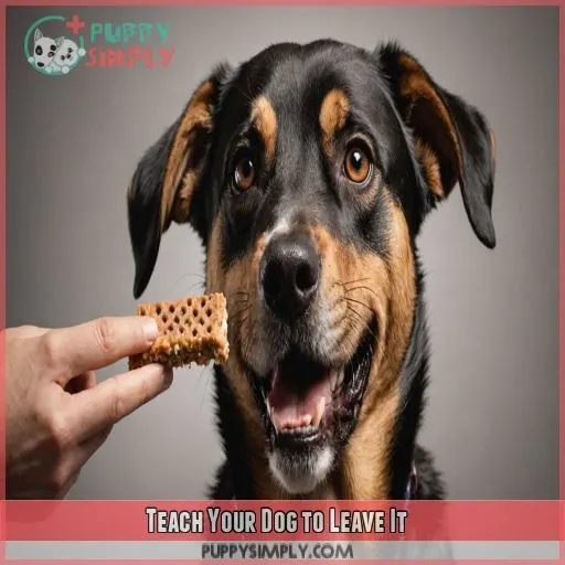 Teach Your Dog to Leave It