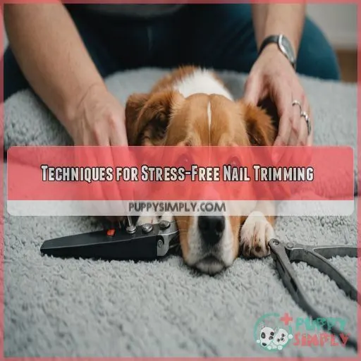 Techniques for Stress-Free Nail Trimming