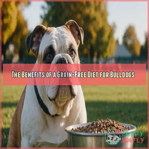 The Benefits of a Grain-Free Diet for Bulldogs