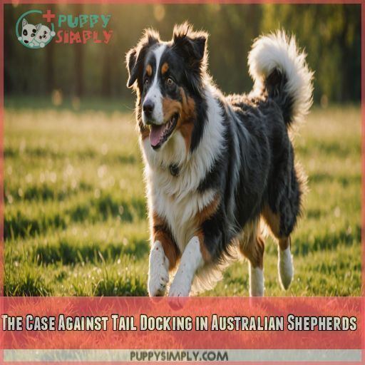 The Case Against Tail Docking in Australian Shepherds The Case Against Tail Docking in Australian Shepherds