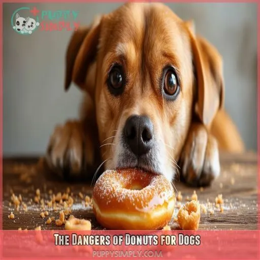 The Dangers of Donuts for Dogs