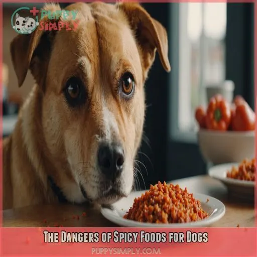 The Dangers of Spicy Foods for Dogs