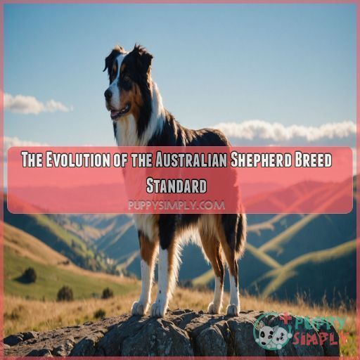 The Evolution of the Australian Shepherd Breed Standard The Evolution of the Australian Shepherd Breed Standard