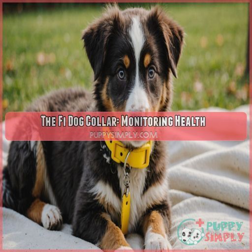 The Fi Dog Collar: Monitoring Health The Fi Dog Collar: Monitoring Health