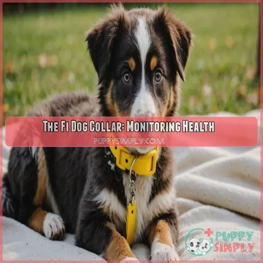 The Fi Dog Collar: Monitoring Health