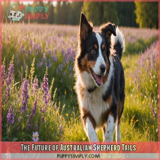 The Future of Australian Shepherd Tails