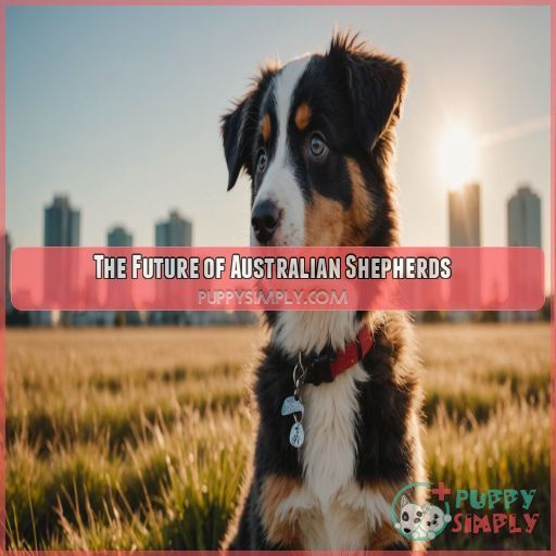 The Future of Australian Shepherds