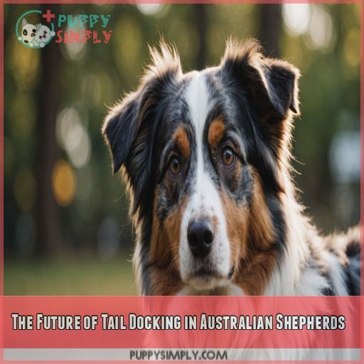 The Future of Tail Docking in Australian Shepherds