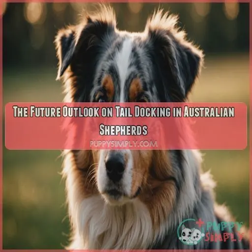 The Future Outlook on Tail Docking in Australian Shepherds