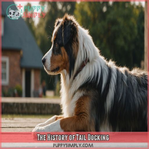 The History of Tail Docking The History of Tail Docking