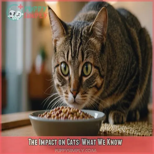 The Impact on Cats: What We Know