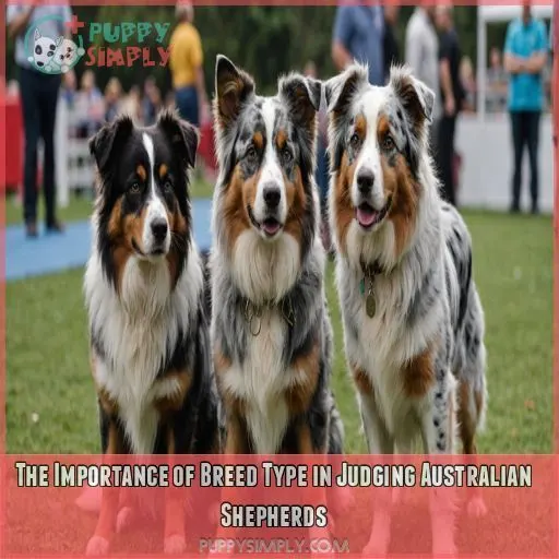 The Importance of Breed Type in Judging Australian Shepherds