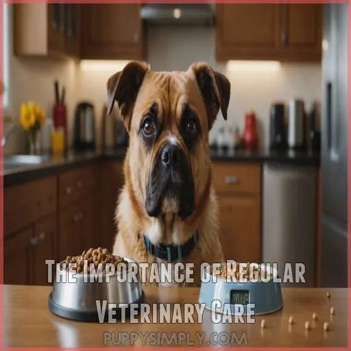 The Importance of Regular Veterinary Care