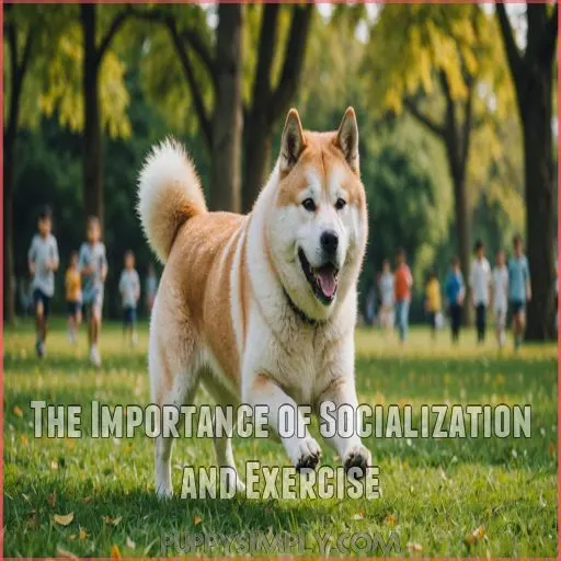 The Importance of Socialization and Exercise