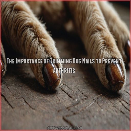 The Importance of Trimming Dog Nails to Prevent Arthritis