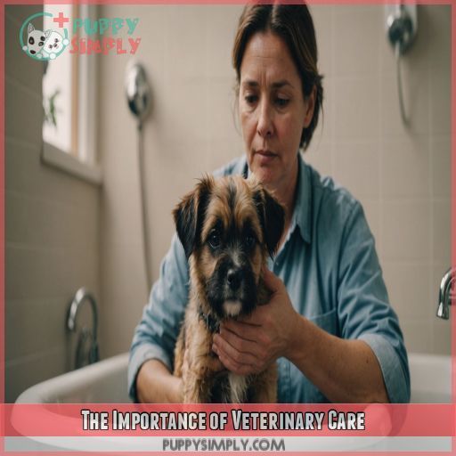 The Importance of Veterinary Care