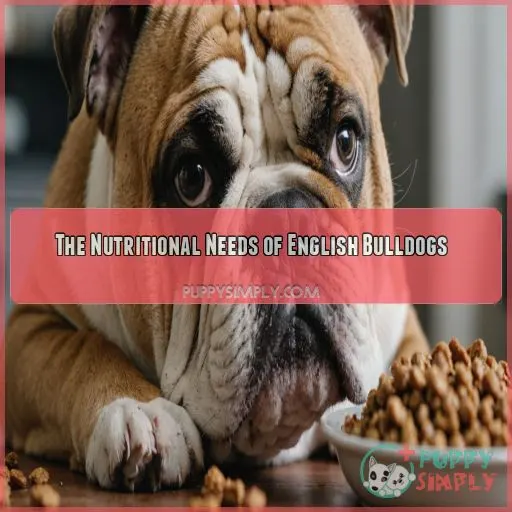 The Nutritional Needs of English Bulldogs