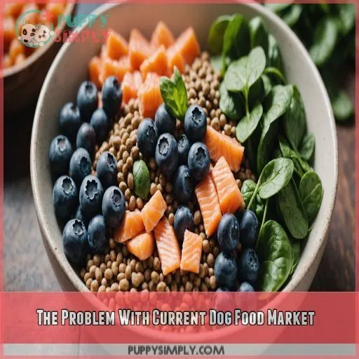 The Problem With Current Dog Food Market