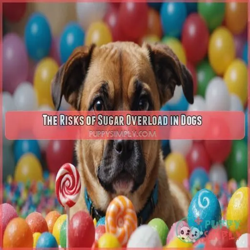 The Risks of Sugar Overload in Dogs