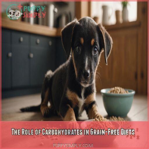 The Role of Carbohydrates in Grain-Free Diets