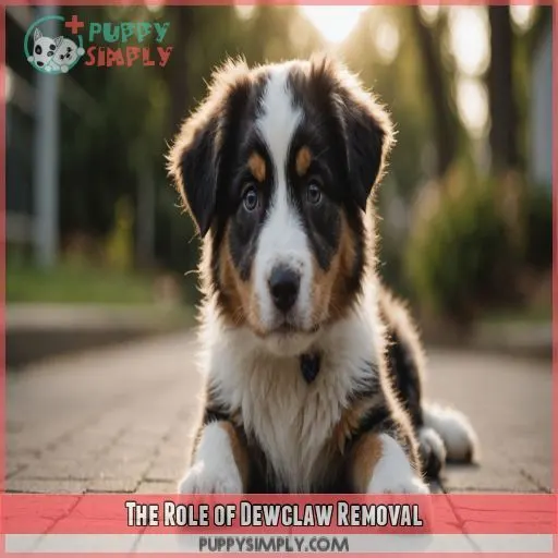 The Role of Dewclaw Removal