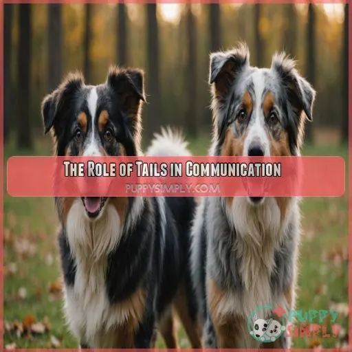 The Role of Tails in Communication