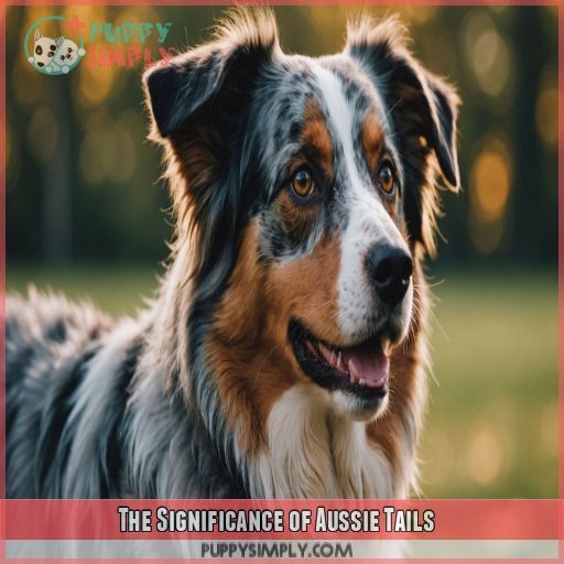 The Significance of Aussie Tails