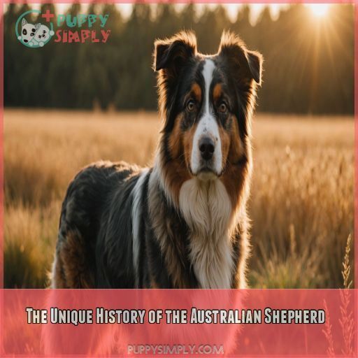 The Unique History of the Australian Shepherd The Unique History of the Australian Shepherd