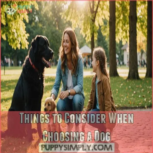 Things to Consider When Choosing a Dog