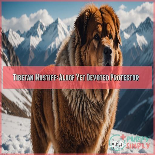 Tibetan Mastiff: Aloof Yet Devoted Protector