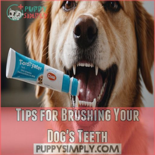 Tips for Brushing Your Dog