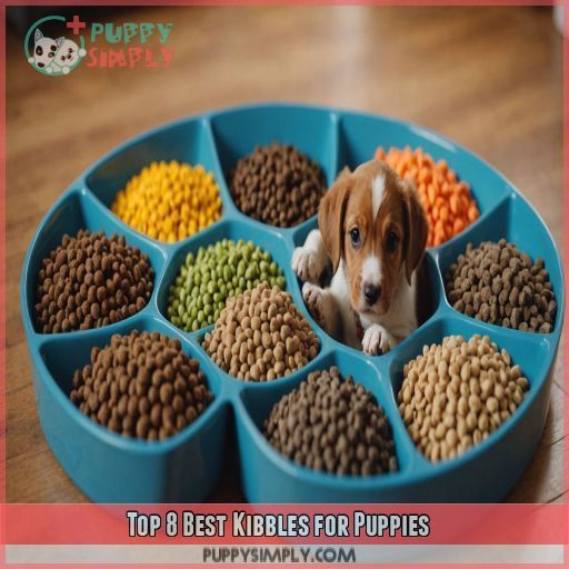 Top 8 Best Kibbles for Puppies