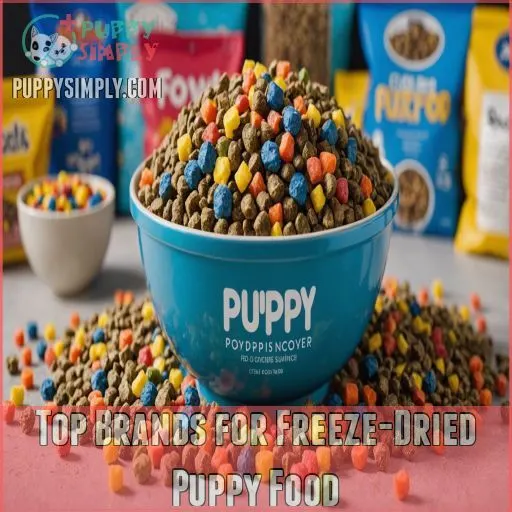 Top Brands for Freeze-Dried Puppy Food