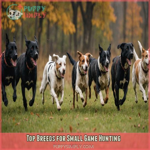 Top Breeds for Small Game Hunting