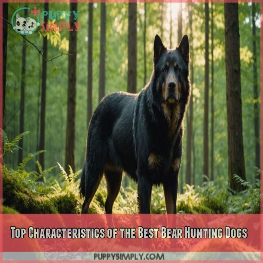 Top Characteristics of the Best Bear Hunting Dogs