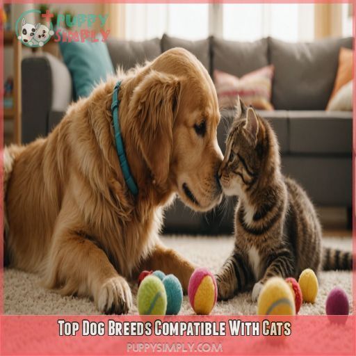 Top Dog Breeds Compatible With Cats Top Dog Breeds Compatible With Cats