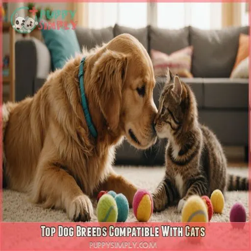 Top Dog Breeds Compatible With Cats