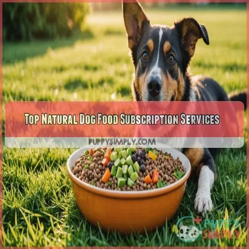 Top Natural Dog Food Subscription Services