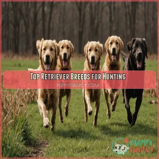 Top Retriever Breeds for Hunting