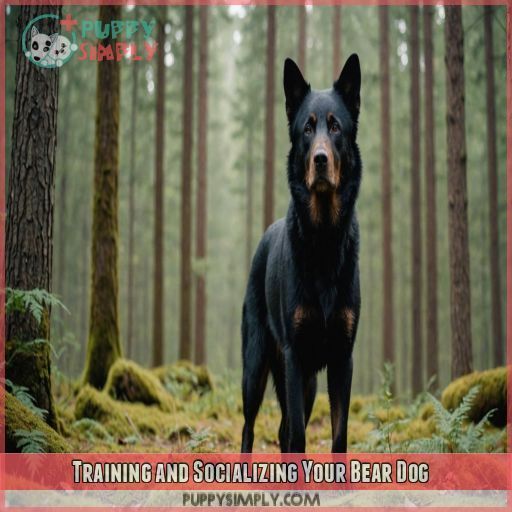 Training and Socializing Your Bear Dog