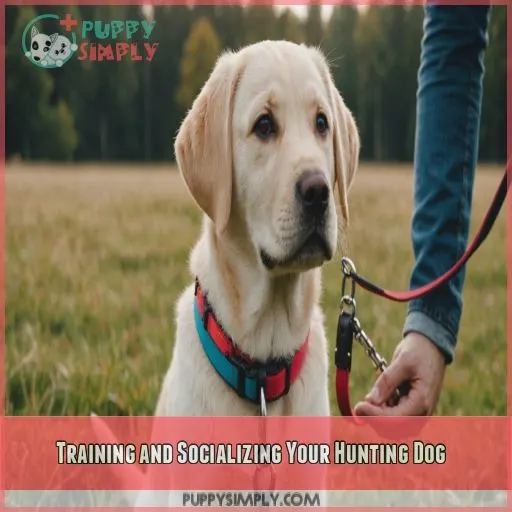 Training and Socializing Your Hunting Dog