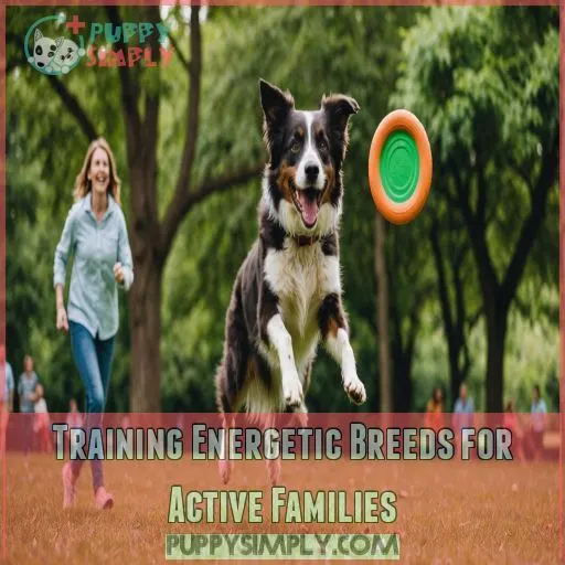 Training Energetic Breeds for Active Families