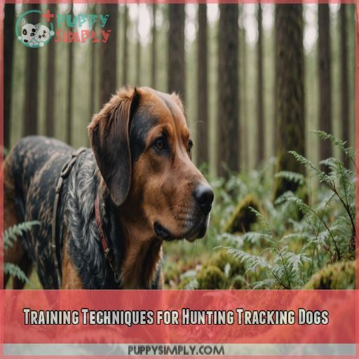 Training Techniques for Hunting Tracking Dogs