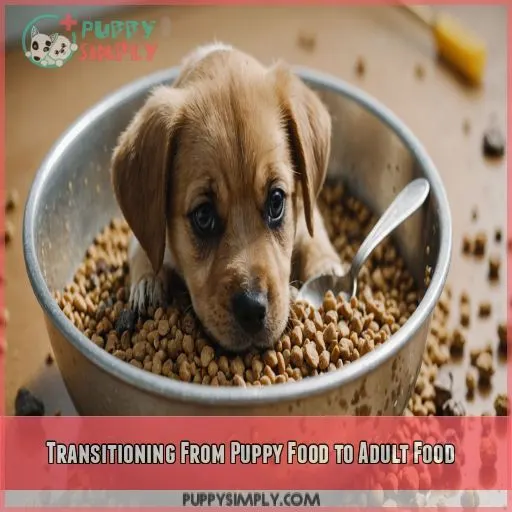 Transitioning From Puppy Food to Adult Food