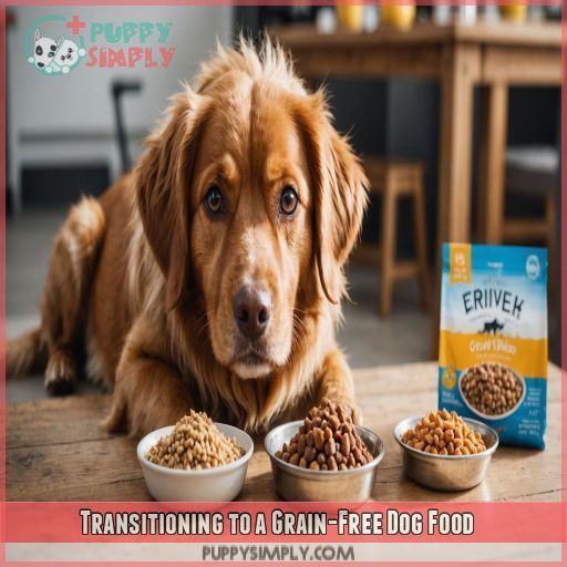 Transitioning to a Grain-Free Dog Food