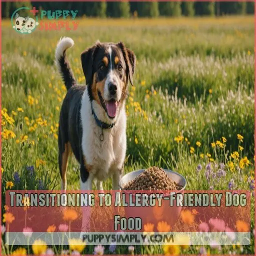 Transitioning to Allergy-Friendly Dog Food