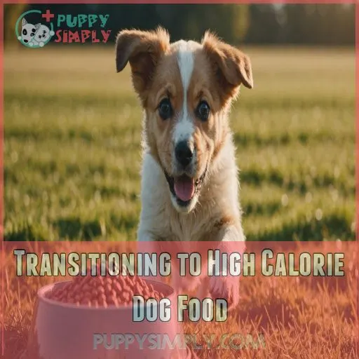 Transitioning to High Calorie Dog Food